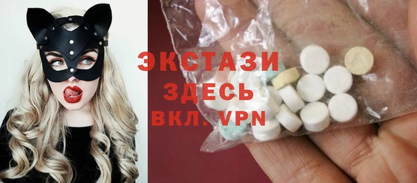 хмурый Аркадак