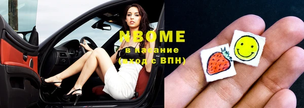 хмурый Аркадак