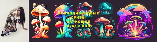 хмурый Аркадак
