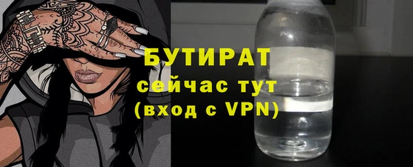 хмурый Аркадак