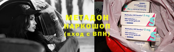 хмурый Аркадак