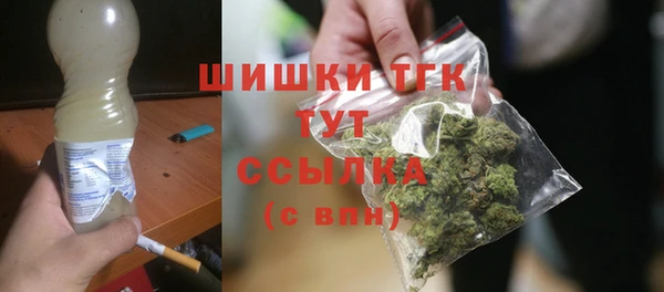 хмурый Аркадак