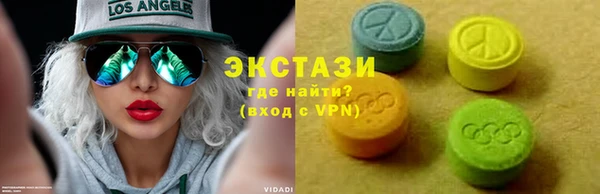 хмурый Аркадак