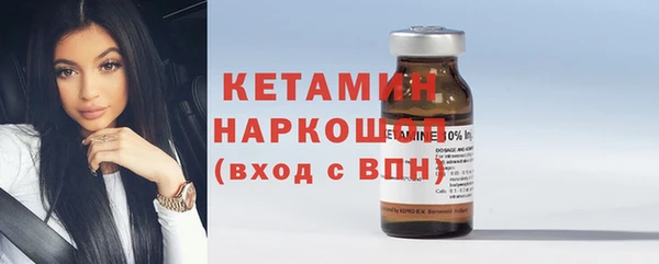 хмурый Аркадак