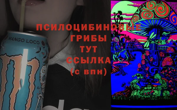 хмурый Аркадак
