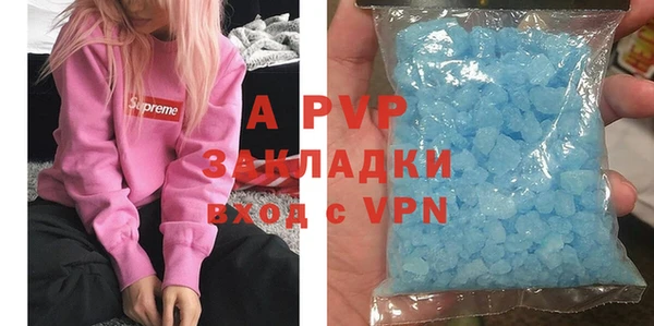 хмурый Аркадак