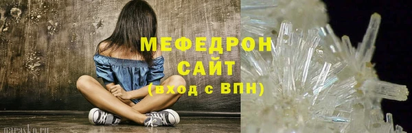 хмурый Аркадак