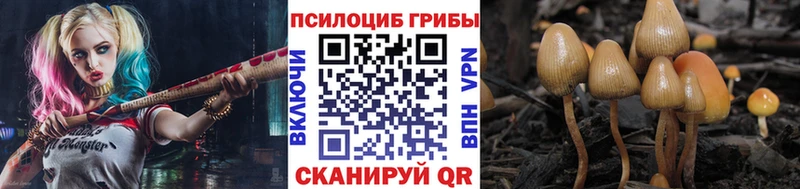 Галлюциногенные грибы мицелий  купить   Глазов 