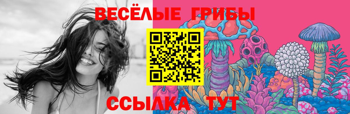 Псилоцибиновые грибы Psilocybine cubensis Глазов